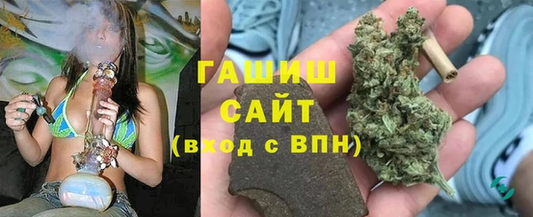 гашик Богданович